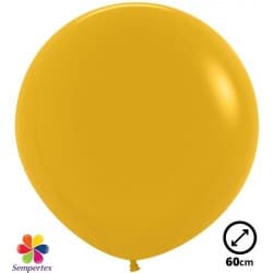 1 Ballon Sempertex Ø 60cm...