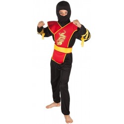 Costume Ninja Master Juine